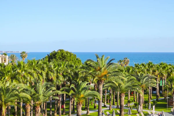 Side, Turkey - 14 Mayıs 2021: Miramare Beach Hotel 'in güzel toprakları. Dinlenme alanında yüzme havuzu. Mavi berrak su, güneş yatakları ve etrafında palmiye ağaçları.