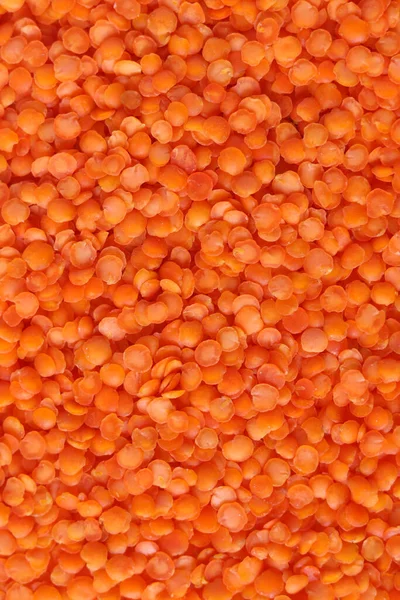 Red Lentils Pattern Background Natural Organic Lentils Top View Copy — Fotografia de Stock