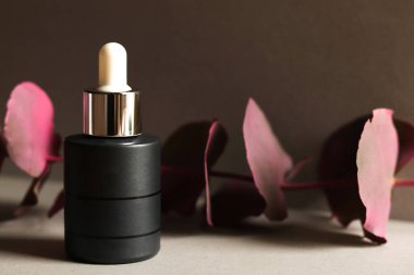 Gri arka planda okaliptüs cinerea dallı pipeti olan kozmetik şişesi. Cilt bakımı. Güzellik ürünleri konsepti.