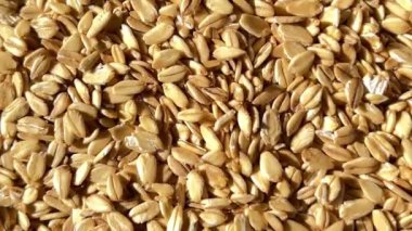 Pişmemiş yulaf ezmesi dokusu yakından görünür. Makro atış. Gastronomi kavramı.