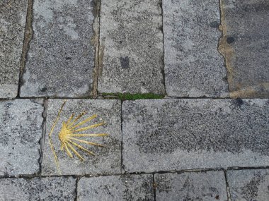 Camino de Santiago 'nun işareti taş zeminde.  