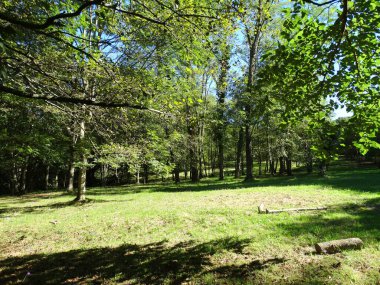 Bask Bölgesi 'ndeki Listorreta Parkı.                     