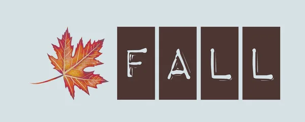 Fall Autumn Concept Blog Banner — Stock Photo, Image