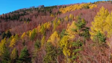Mountain Town gün batımı. Yüksek kalite 4K hava görüntüsü 