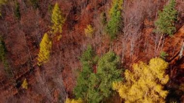 Mountain Town gün batımı. Yüksek kalite 4K hava görüntüsü 