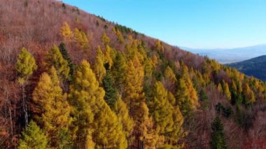 Mountain Town gün batımı. Yüksek kalite 4K hava görüntüsü 