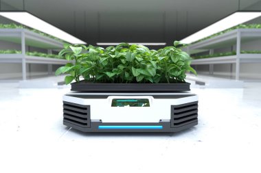 Otomatik taşıma robotu nakliye tesisleri, akıllı robot çiftçiler konsepti. 3B illüstrasyon