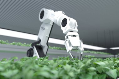 Akıllı robot çiftçiler, robot çiftçiler, tarım teknolojisi, çiftlik otomasyonu. 3B illüstrasyon