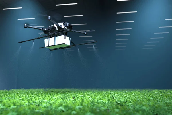 Drone Spraying Fertilizer Vegetable Green Plants Agriculture Technology Farm Automation Stock Photo
