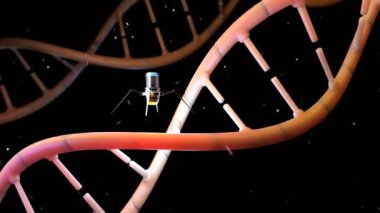 Nanobotlar hasarlı DNA 'yı onarıyor