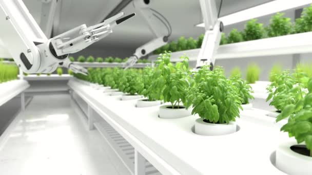 Concept Agriculteurs Robotisés Intelligents Roboticiens Technologie Agricole Automatisation Agricole — Video