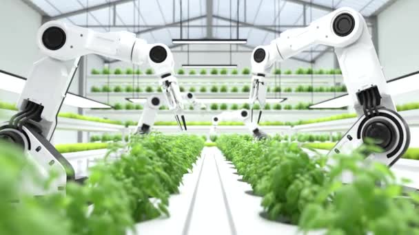 Concepto Inteligente Los Agricultores Robóticos Agricultores Robot Tecnología Agrícola Automatización — Vídeo de stock