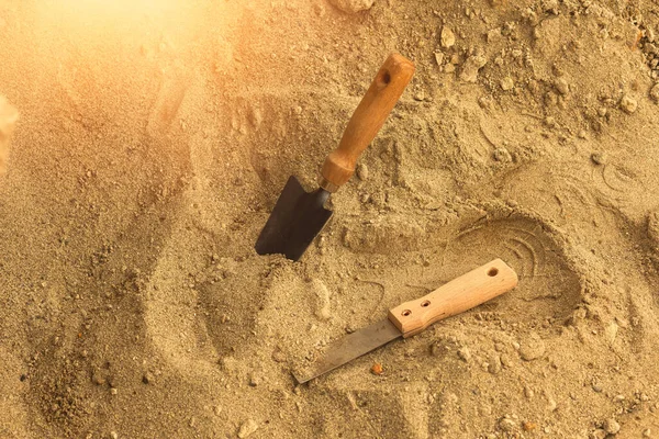 Shovel in the sand.Skeleton and archaeological tools.Digging for fossils. High quality photo