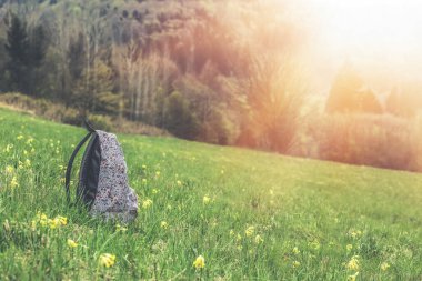 Çiçeklerle dolu yeşil çayırda sırt çantası var. Yüksek kalite fotoğraf