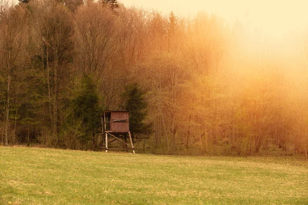 Wieża Myśliwska Zielonym Łące Sezon Wiosłowania Wysokiej Jakości Zdjęcie — Zdjęcie stockowe