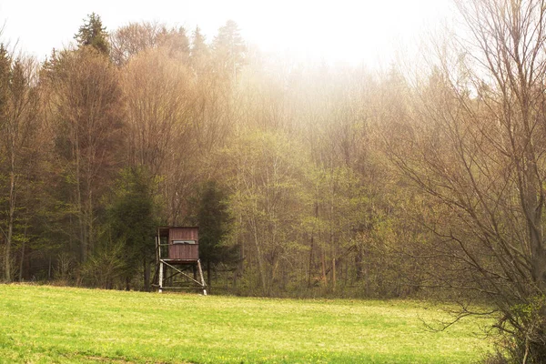 Yeşil çayır üzerindeki av kulesi. Pring sezonu. Yüksek kalite fotoğraf