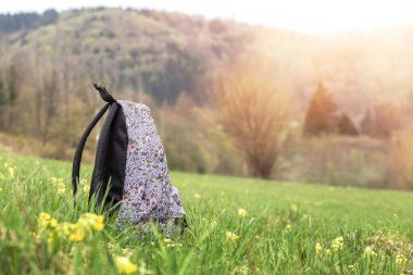 Çiçeklerle dolu yeşil çayırda sırt çantası var. Yüksek kalite fotoğraf