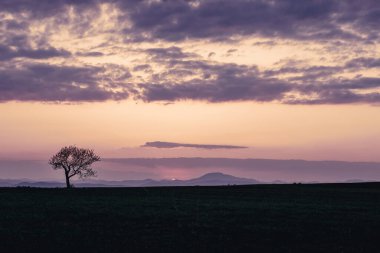 Kırsal alanda güzel bir gün batımı, arka planda dağlar. Yüksek kalite fotoğraf