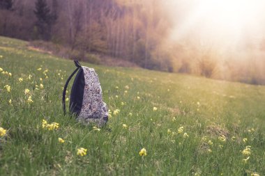 Çiçeklerle dolu yeşil çayırda sırt çantası var. Yüksek kalite fotoğraf