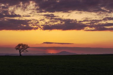 Kırsal alanda güzel bir gün batımı, arka planda dağlar. Yüksek kalite fotoğraf