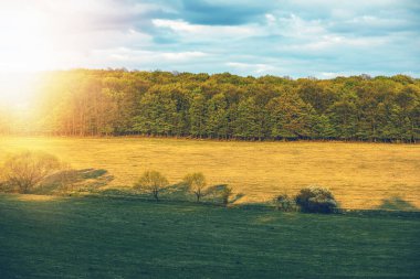 Gün batımında güzel bir kırsal alan. Yüksek kalite fotoğraf