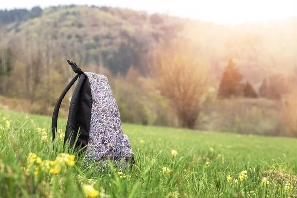 Çiçeklerle dolu yeşil çayırda sırt çantası var. Yüksek kalite fotoğraf