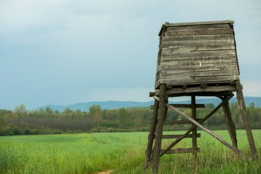 Yeşil alandaki av kulesi. Pring sezonu. Yüksek kalite fotoğraf