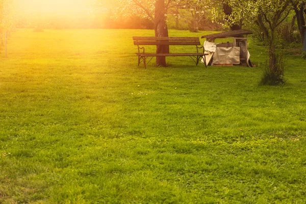 Dřevěná lavička na zeleném trávníku v zahradě.Jarní sezóna. — Stock fotografie