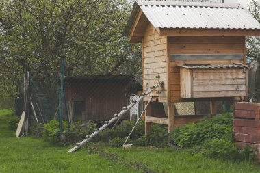 Bahçedeki tavuk kümesi. Arka planda açan ağaçlar. Kuru mevsim. Yüksek kalite fotoğraf
