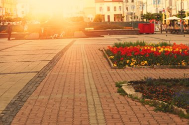 Şehir meydanı, güzel çiçekli yataklar. Yüksek kalite fotoğraf