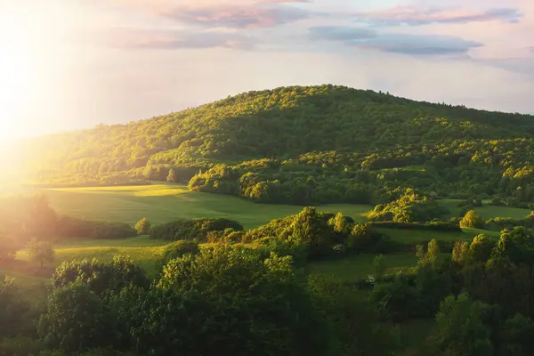 Groene Heuvel Verlicht Door Zonsondergang Scherp Landschap Hoge Kwaliteit Foto — Stockfoto