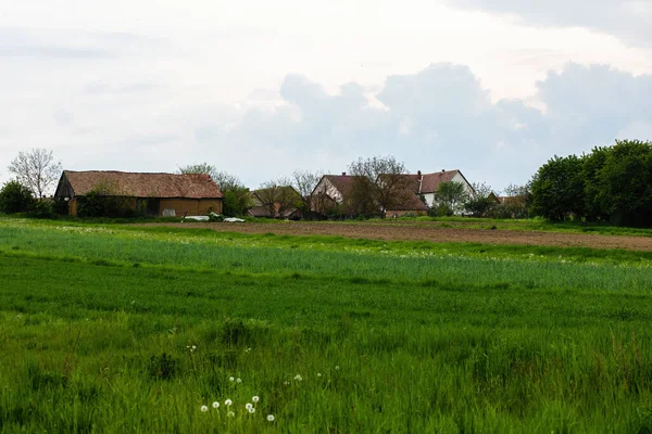 Prato Verde Oltre Piccolo Paese Paesaggio Agricolo Foto Alta Qualità — Foto Stock