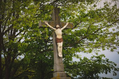 Yeşil çayırdaki ağaçların arasından geç. Yüksek kalite fotoğraf
