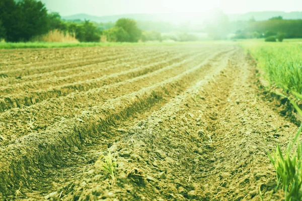 Brown Freshly Plowed Agricultural Field Spring Season High Quality Photo — Stock Photo, Image