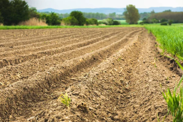 Brown Freshly Plowed Agricultural Field Spring Season High Quality Photo — Stock Photo, Image