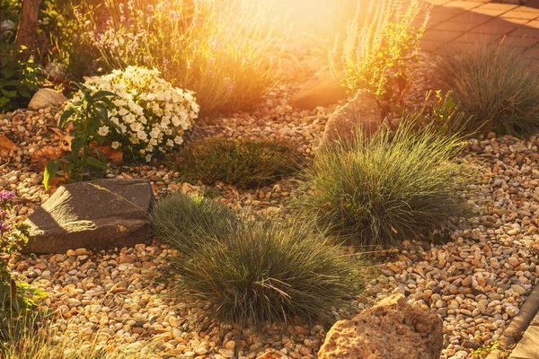 Decorated Colorful Flowerbed Stones Decorative Elements Landscape Design High Quality — Stock Photo, Image