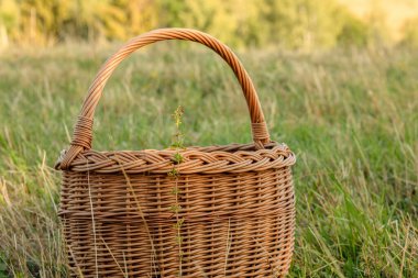 Yeşil çayırda hasır sepet. Yazın güneşli bir gün. Yüksek kalite fotoğraf