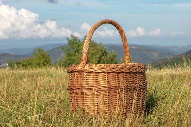 Yeşil çayırda hasır sepet. Yazın güneşli bir gün. Yüksek kalite fotoğraf
