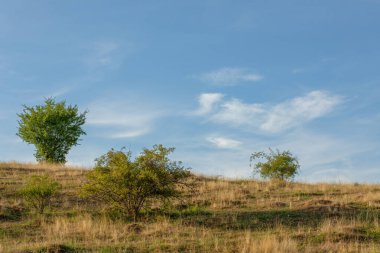 Akşam güneşiyle aydınlanan dağ çayırı. Yaz sonu. Yüksek kalite fotoğraf