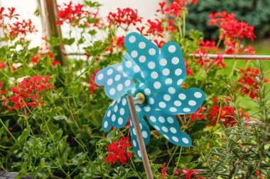 Teras bahçesinde noktalı fırıldak. Yüksek kalite fotoğraf