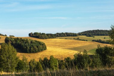 Akşam güneşiyle aydınlanan dağ çayırı. Yaz sonu. Yüksek kalite fotoğraf