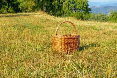 Yeşil çayırda hasır sepet. Yazın güneşli bir gün. Yüksek kalite fotoğraf