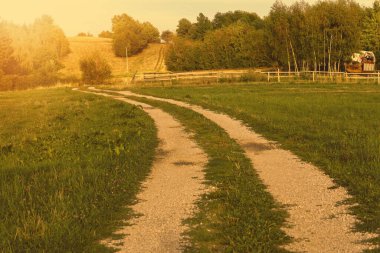 Kırsal yol çayırdan geçiyor. Yaz mevsimi. Yüksek kalite fotoğraf