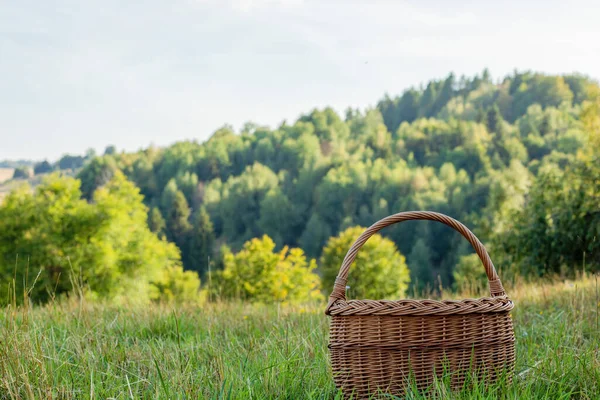 Wiklinowy Kosz Zielonym Miodu Sunny Dzień Lecie Wysokiej Jakości Zdjęcie — Zdjęcie stockowe