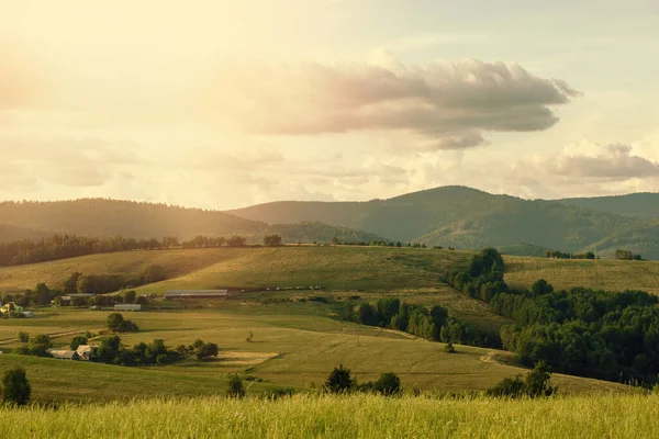 Landelijk Landschap Met Groene Velden Bossen Zomertijd Hoge Kwaliteit Foto — Stockfoto