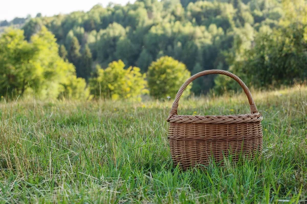 Wiklinowy Kosz Zielonym Miodu Sunny Dzień Lecie Wysokiej Jakości Zdjęcie — Zdjęcie stockowe