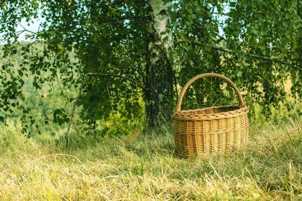 Weidenkorb Auf Der Grünen Wiese Sonniger Sommertag Hochwertiges Foto — Stockfoto