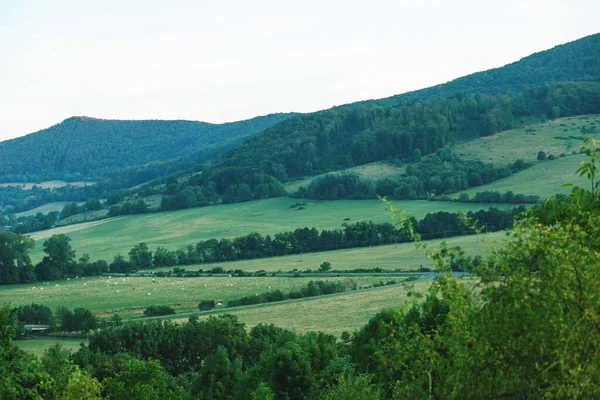 Landscape Meadows Forests Evening Sun Summer Season High Quality Photo — Stock Photo, Image