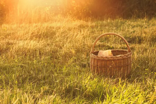 緑の草原のウィッカーバスケット夏の晴れた日 高品質の写真 — ストック写真