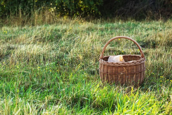緑の草原のウィッカーバスケット夏の晴れた日 高品質の写真 — ストック写真